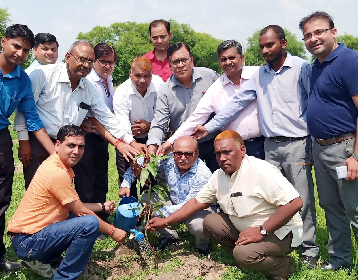 plantation on the occasion of swachhata week