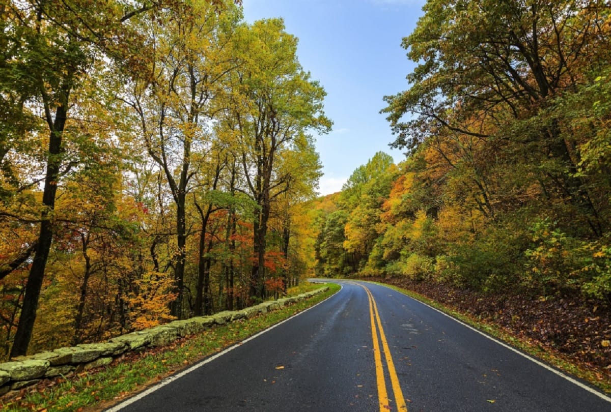 interesting facts about road marking difference between white and yellow lines on road