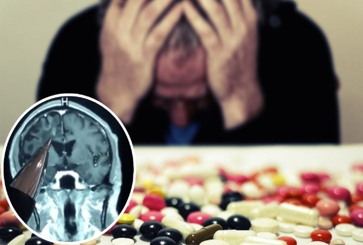 latest study says  size of the human brain has increased over time what will be its effect