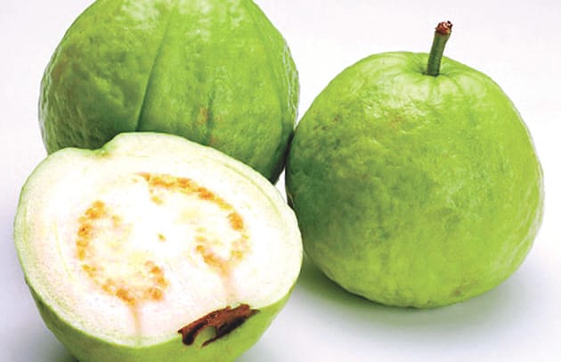 Allahabadi Amrood