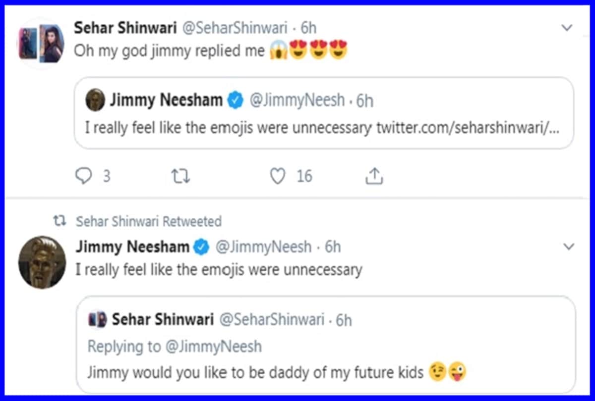 Pakistani actress wants Jimmy Neesham to be the father of her future kids; the all-rounder responds