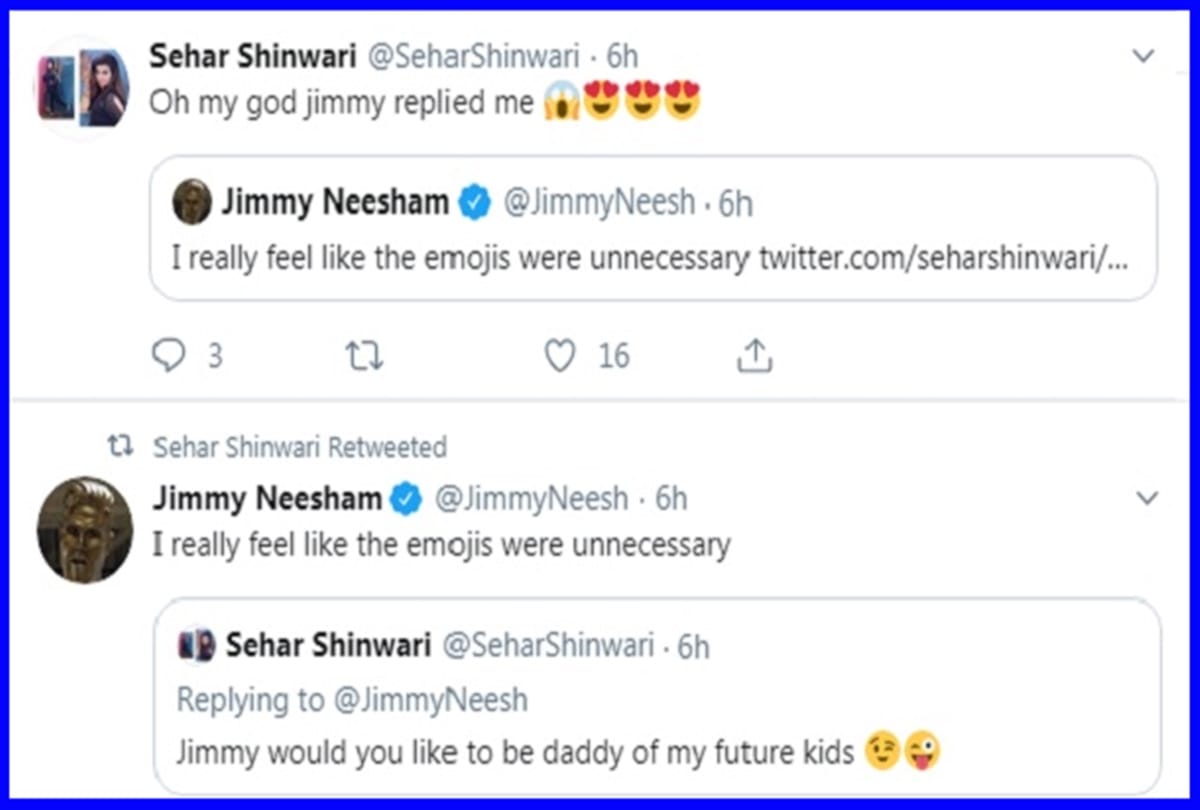 Pakistani actress wants Jimmy Neesham to be the father of her future kids; the all-rounder responds