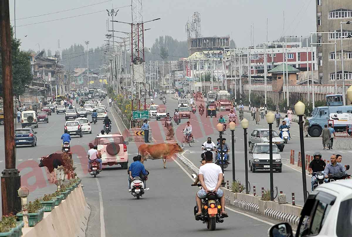Jammu Kashmir latest news and visuals from SRINAGAR, Jammu Kashmir latest news and visuals