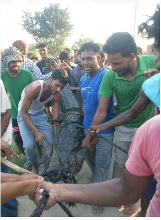 bulandshahar news