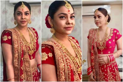 Bollywood news Capsule satte pe satta Vicky Kaushal pehlwaan baaghi 3 Shraddha kapoor sumona