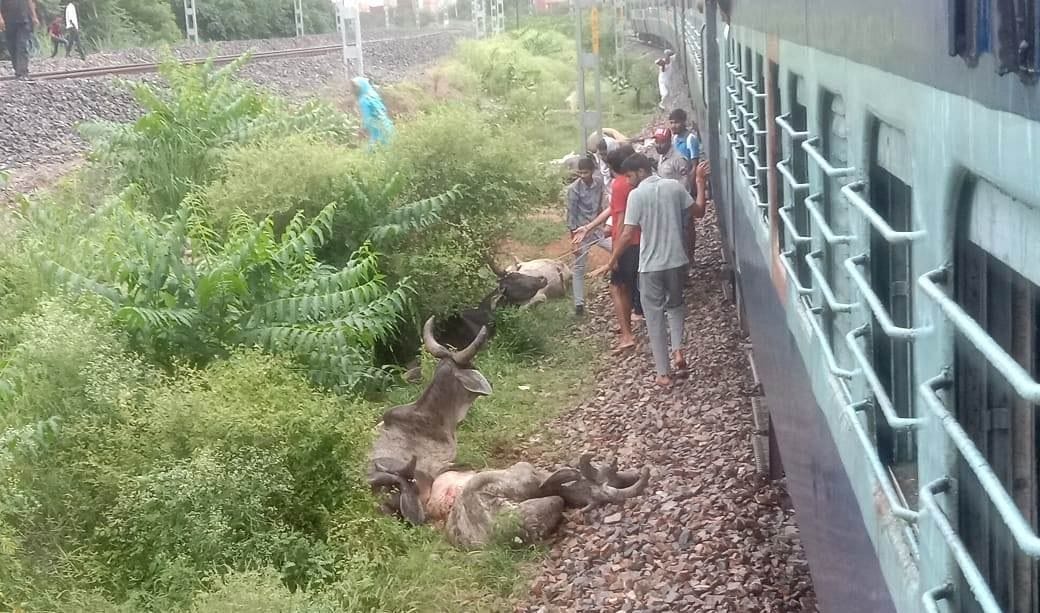 10 killed after being cut by train