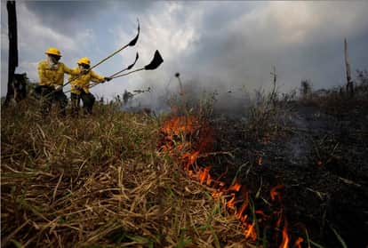 अमेजन जंगल में लगी भयंकर आग