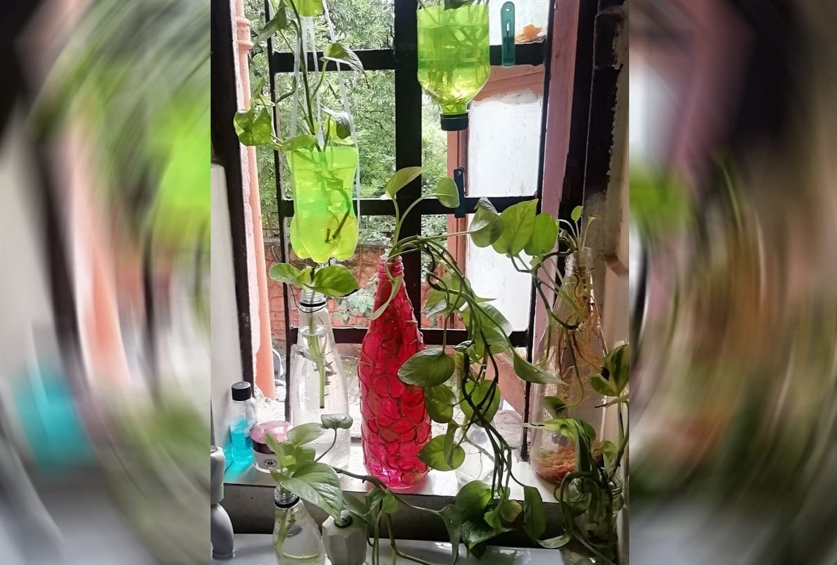 Delhi people initiates to clean stagnant water from house to prevent Dengue