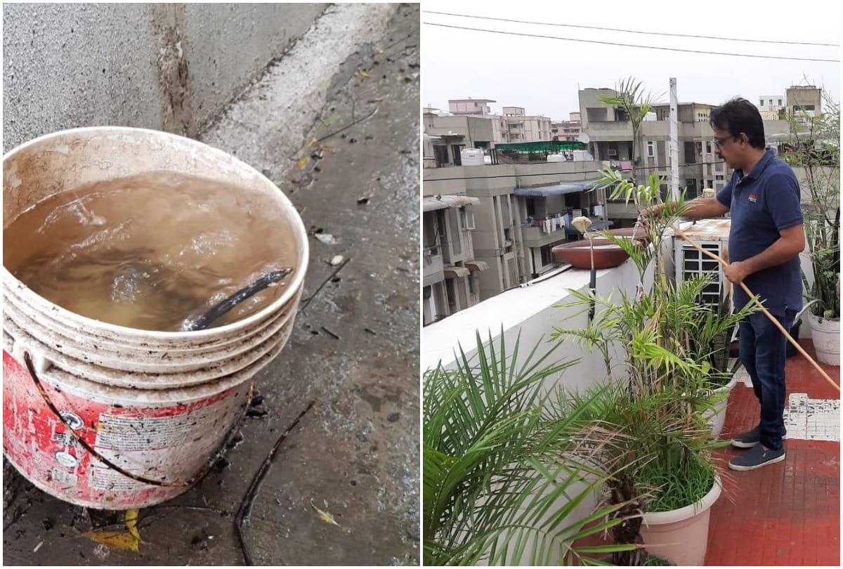 Delhi people initiates to clean stagnant water from house to prevent Dengue
