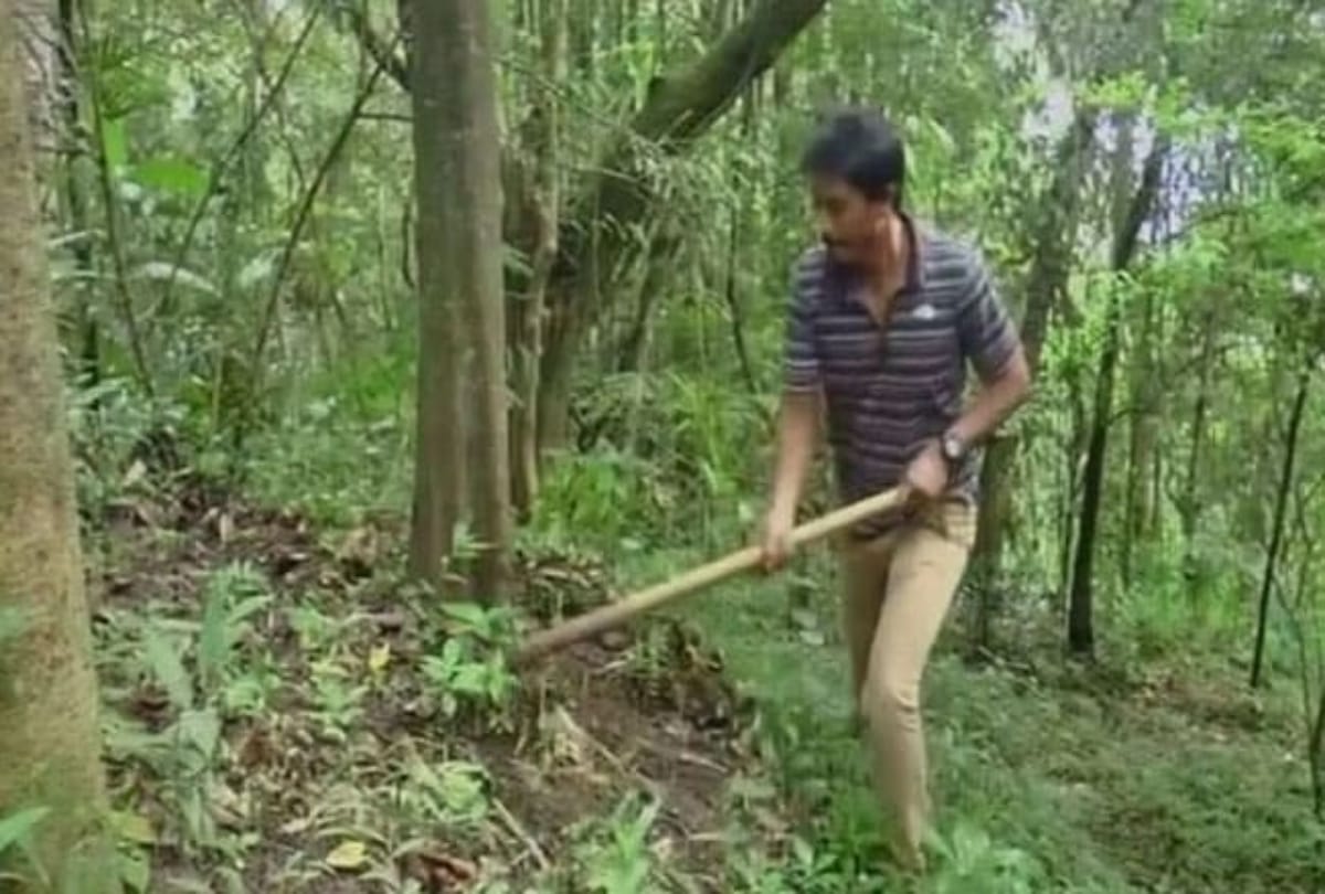 know about punshilok forest in langol and moirangthem loiya