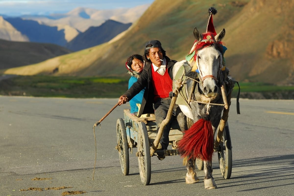 irctc offers best nepal tour 2019 for 7 nights and 8 days