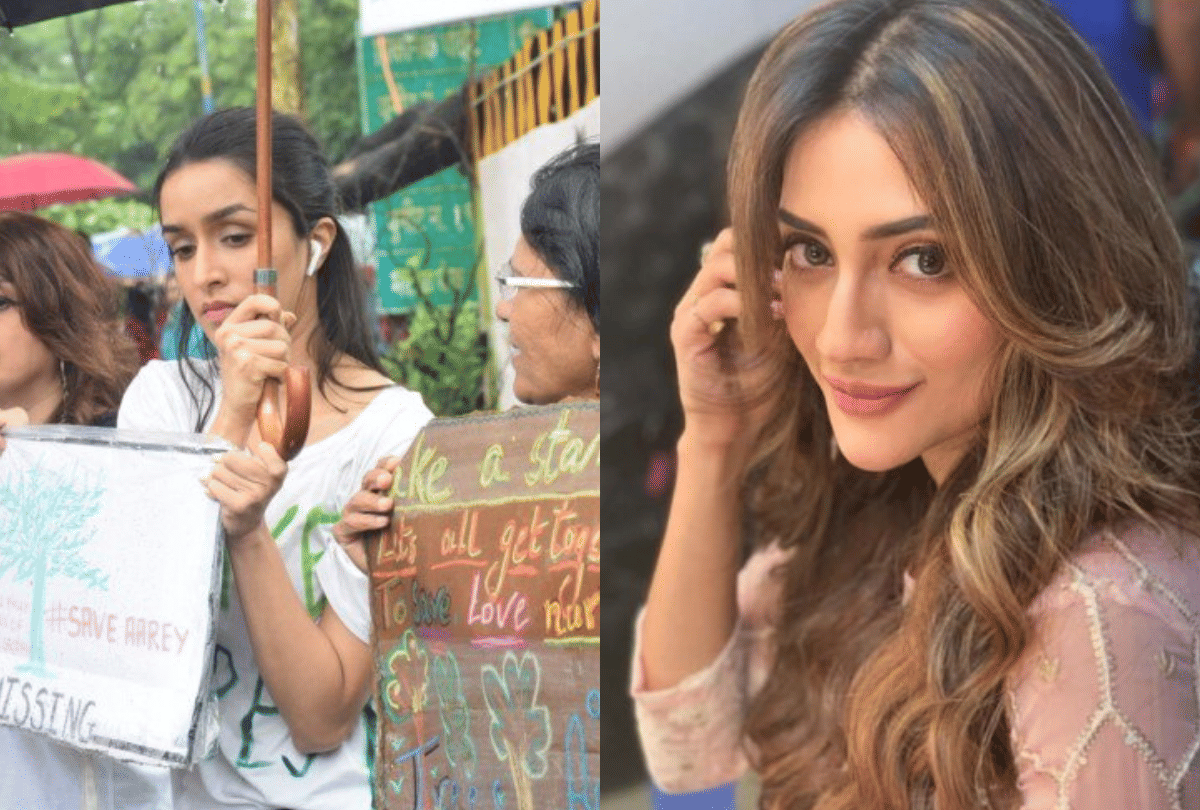 bollywood stars Against Cutting Of Trees and Nusrat Jahan Signs film top entertainment news