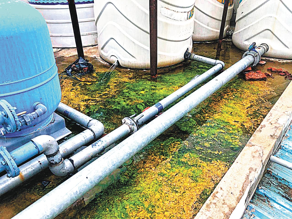 water leakage problem in poorab apartment in mohali