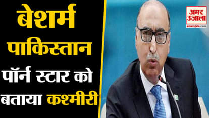 Ex Pakistan high commissioner abdul basit tweet adult star Johnny Sins for kashmiri who lost vision
