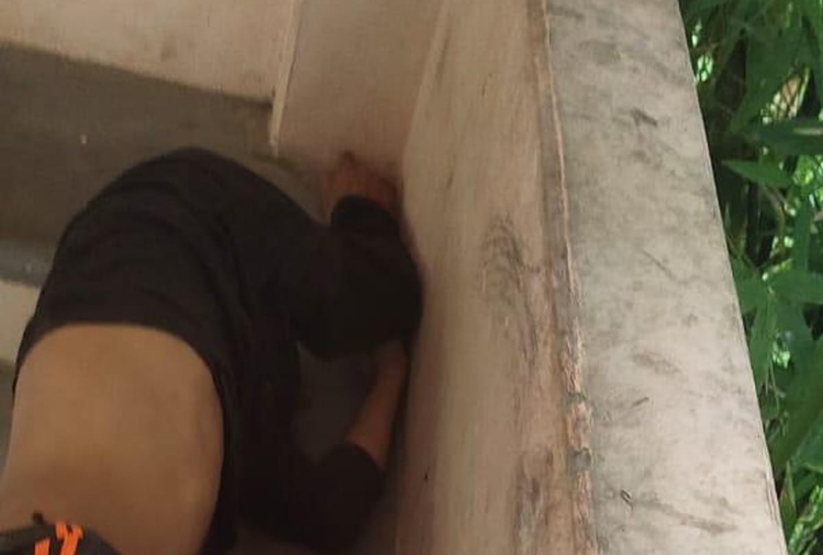 young man Dead body found in Hamirpur of Himachal Pradesh