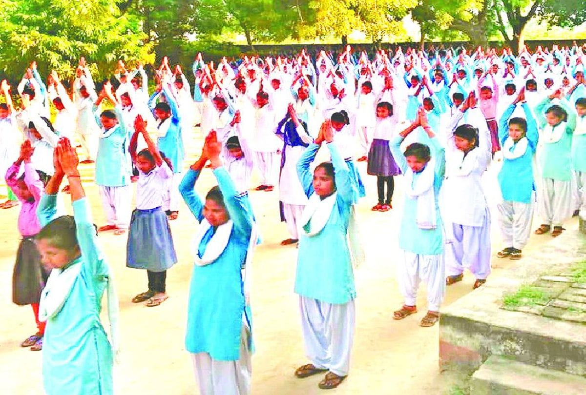 DLF school allocation canceled