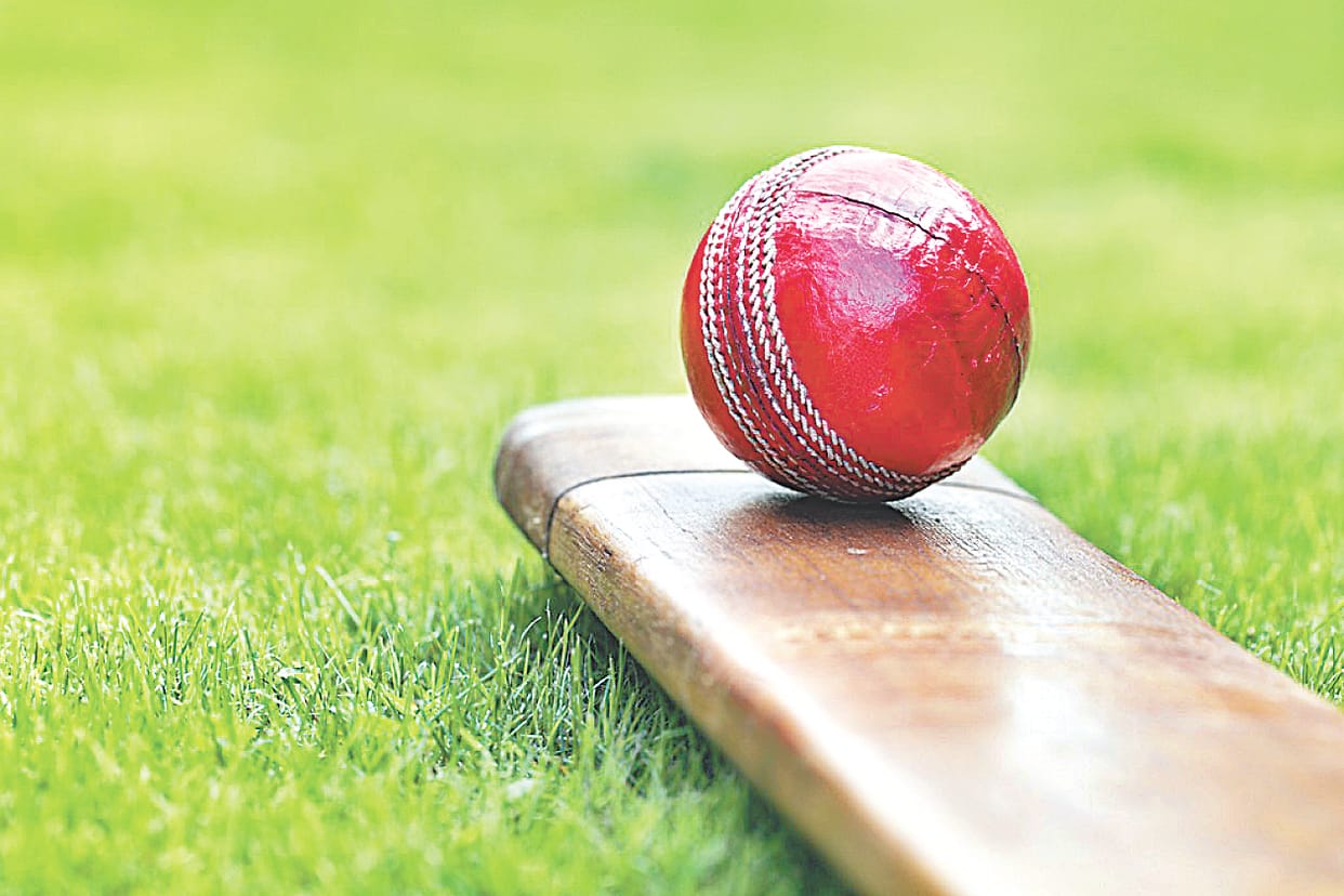violence in making cricket team
