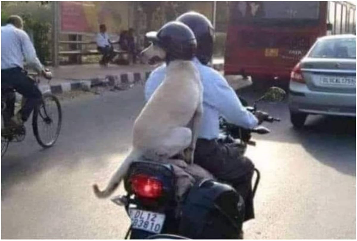 People made memes over new traffic rules on Social Media