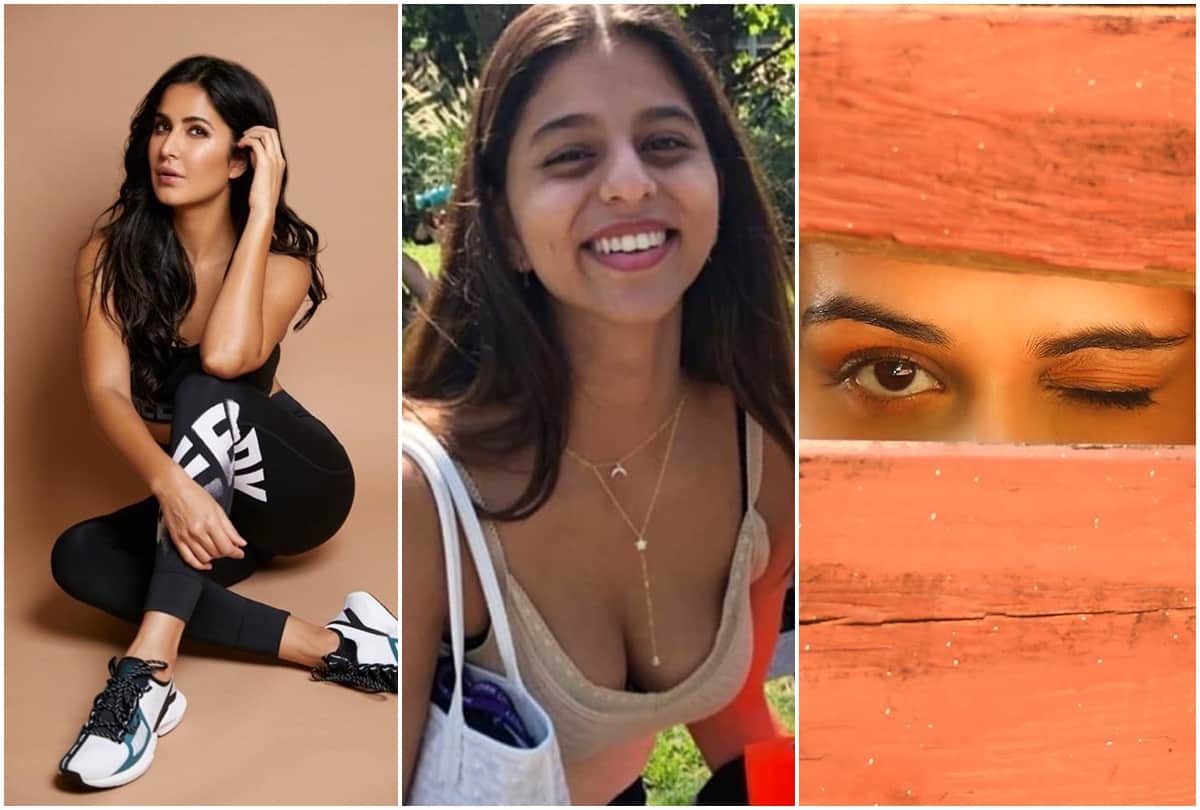 Bollywood celebs instagram Katrina kaif Suhana khan Ananya Pandey Farhan Akhtar manushi chhillar