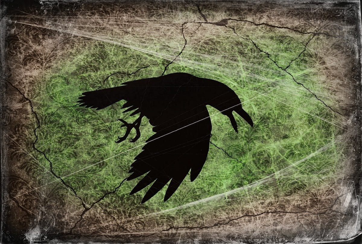 crows understand concept of zero claim in study