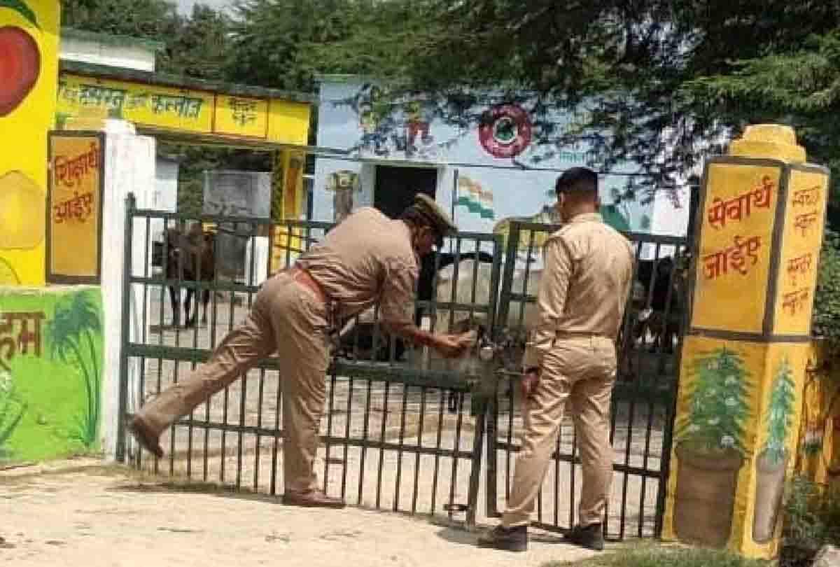 cattle problem is out of control in uttar pradesh