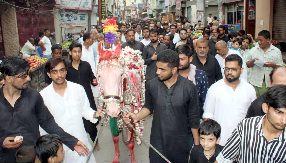 julus in amroha