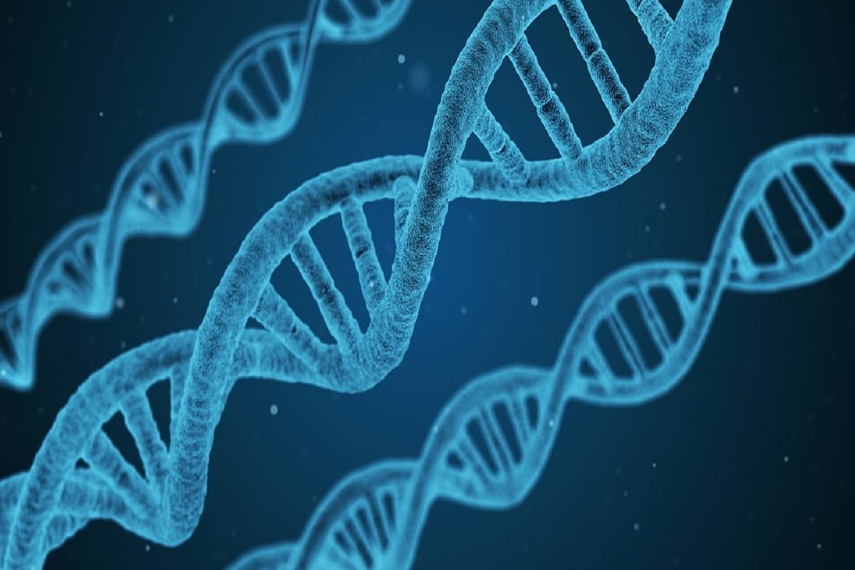 what is Perrault syndrome, know the link between hearing loss and infertility