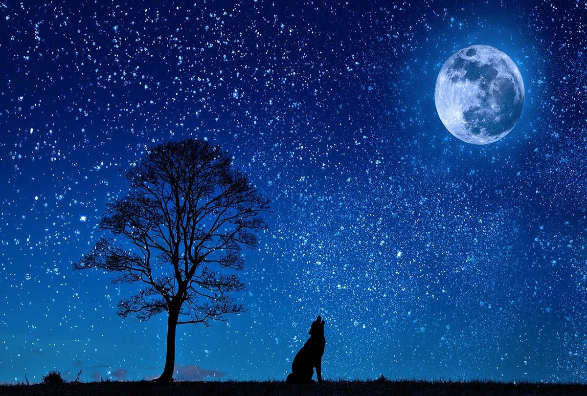 planets are responsible for relationships in our life