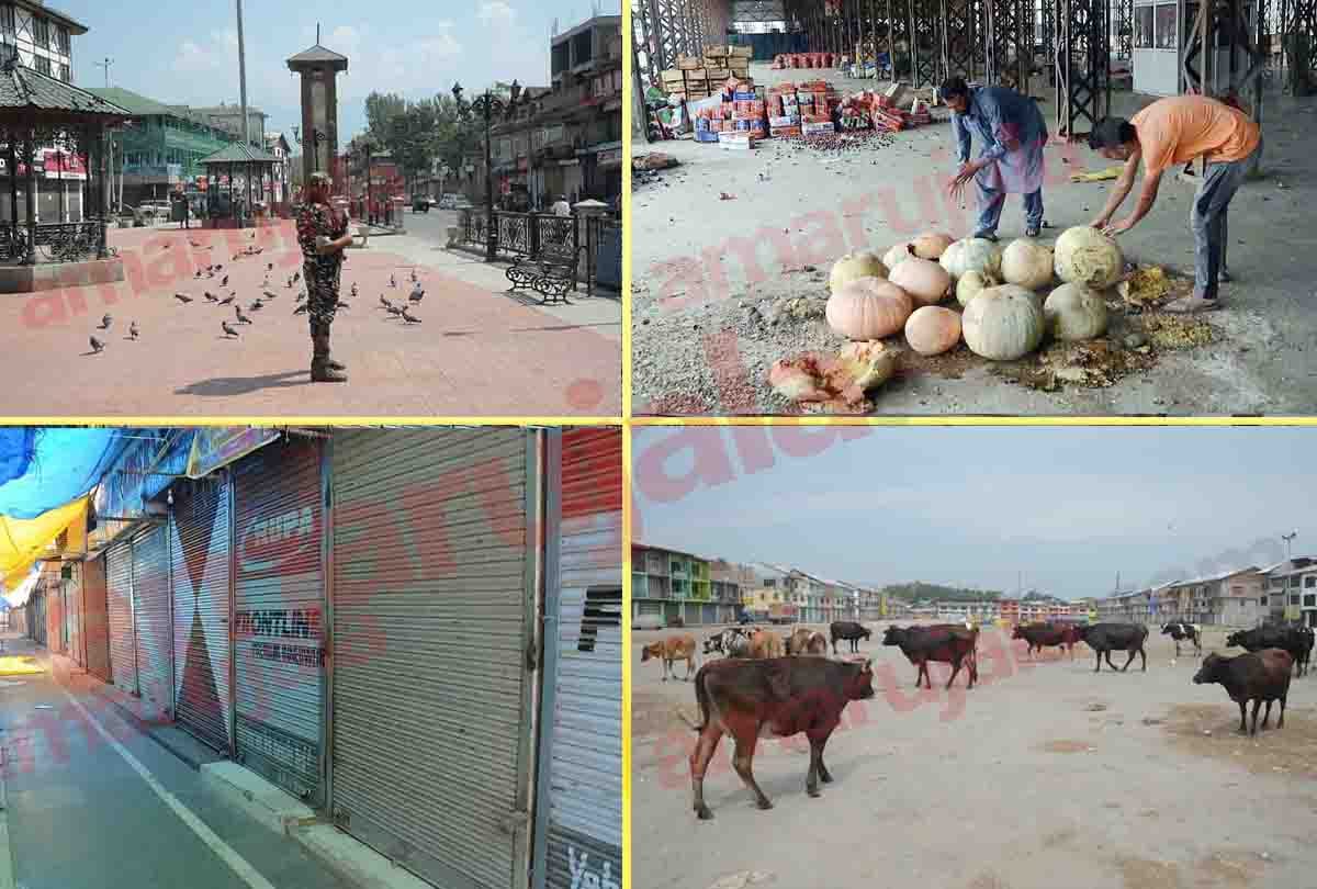 Jammu Kashmir latest news and visual from SRINAGAR, Jammu Kashmir latest news and visuals