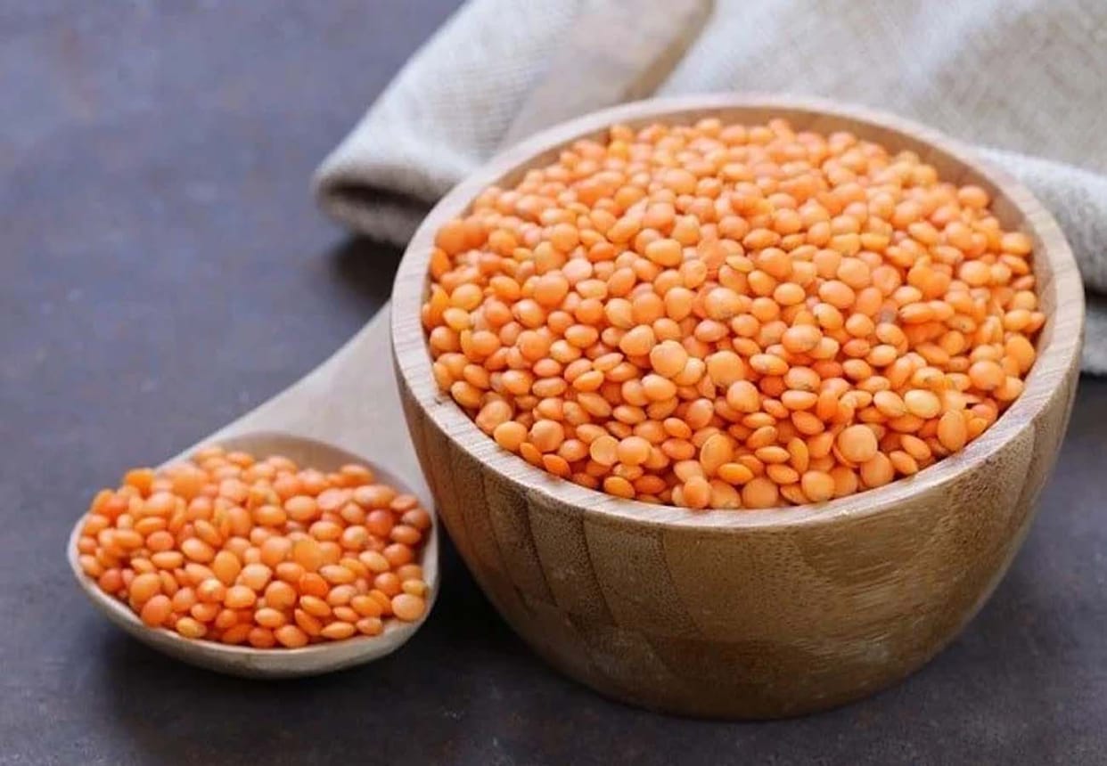 CSA Agricultural Scientist Developed New Lentil Species