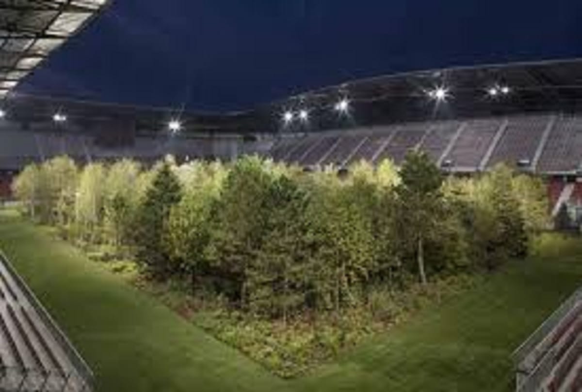 Forest grows in the middle of a football stadium in Austria