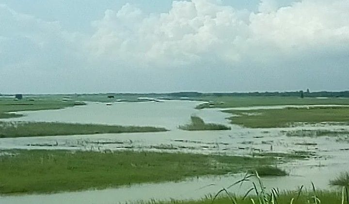 Flood condition again in Ghaghara river