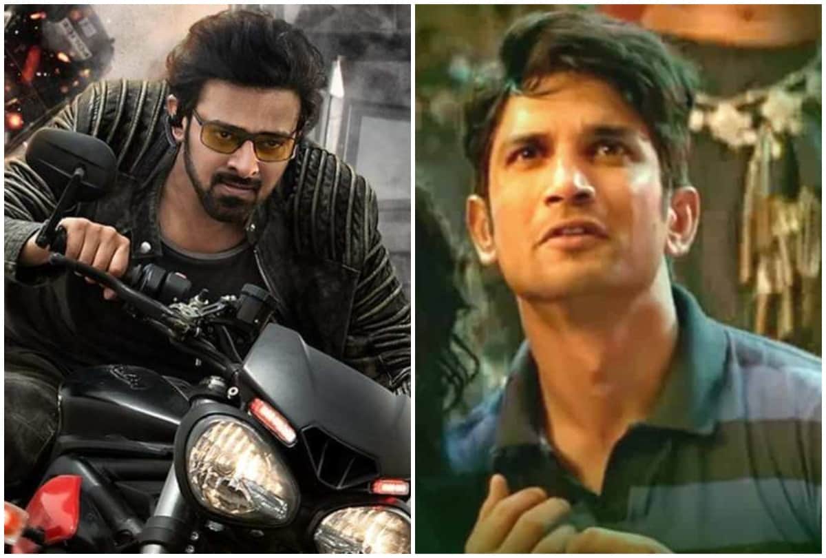chhichhore day 2 and saaho film box office collection