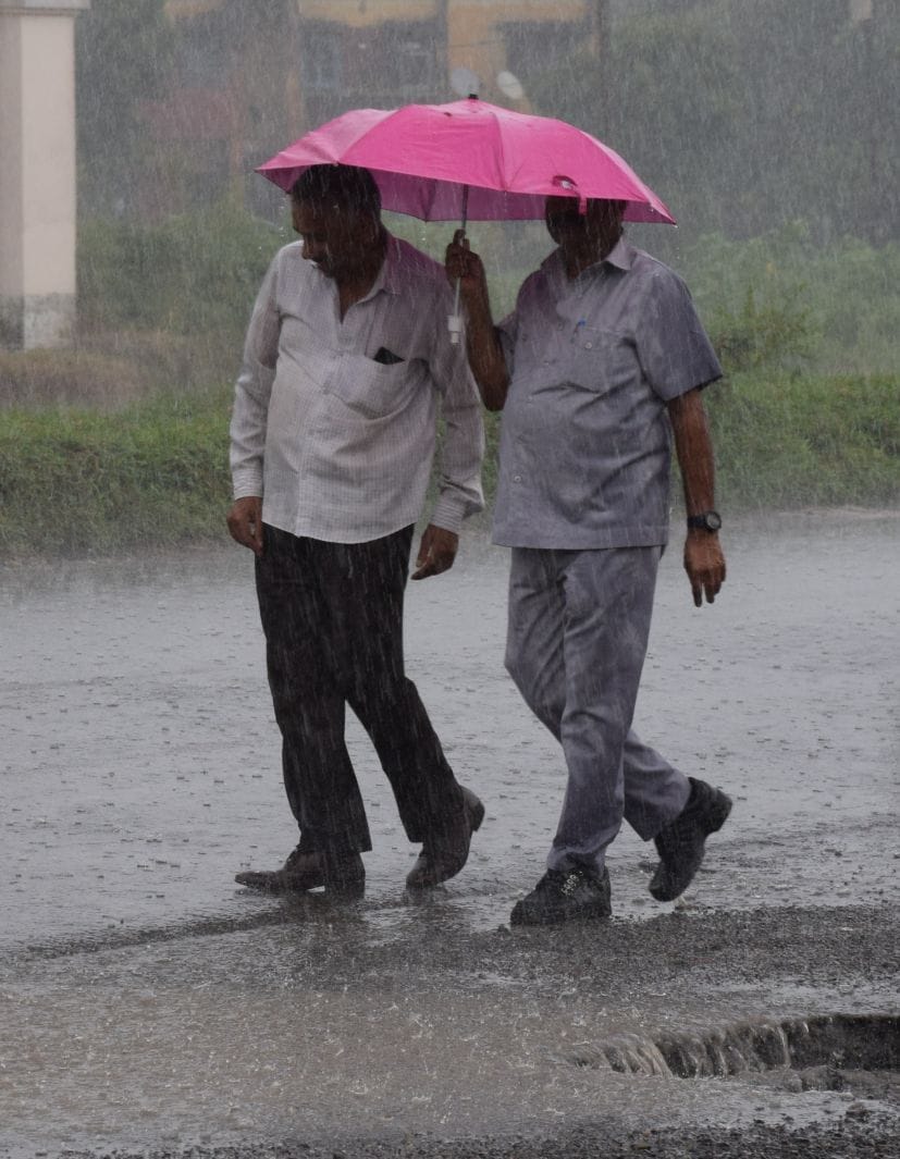 Half an hour of rain caused the city's garbage to float on the highway