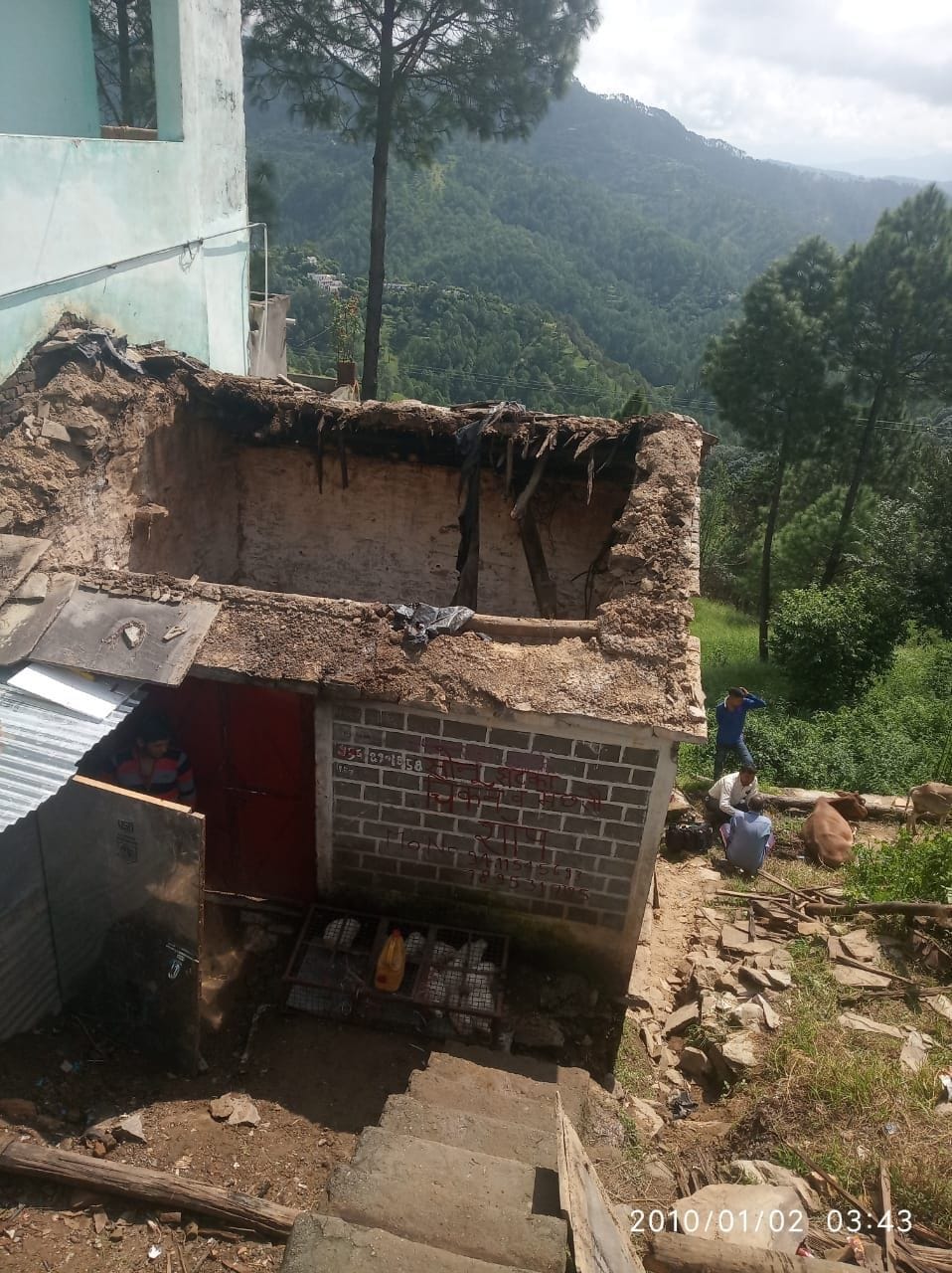 Three cattle injured after breaking of Paisia Gaushala