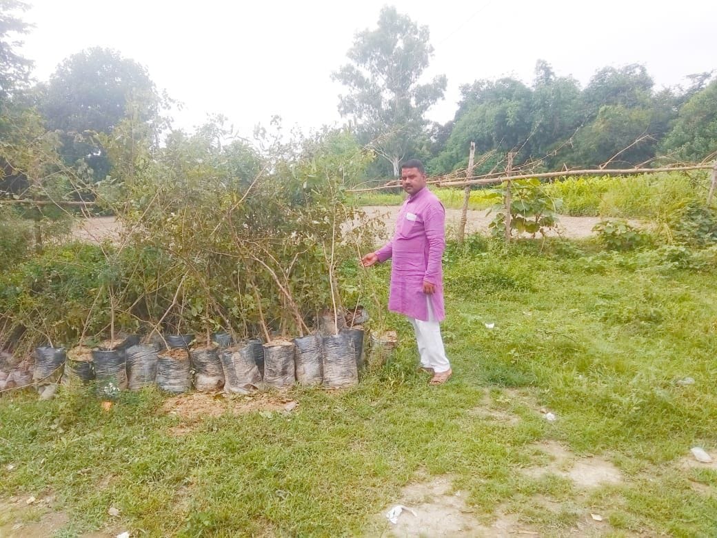 Campaign for greenery dies due to lack of care