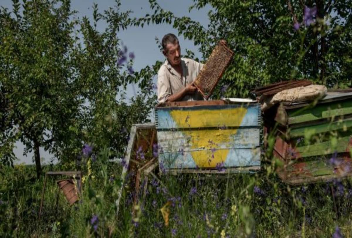 dobarusa unique village of russia where a man live alone with birds and animals