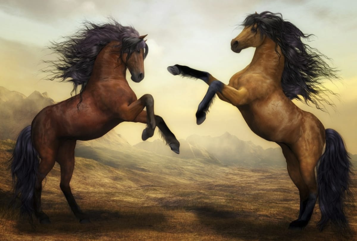 feng shui horses for life