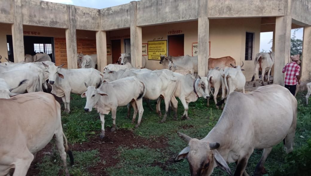 Farmers shut down Anna cattle in secretariat