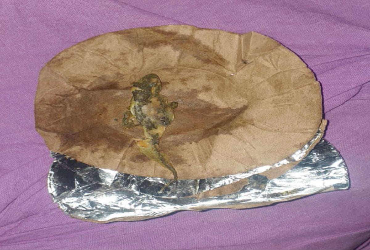 dead lizard found in food at restaurant in kasganj