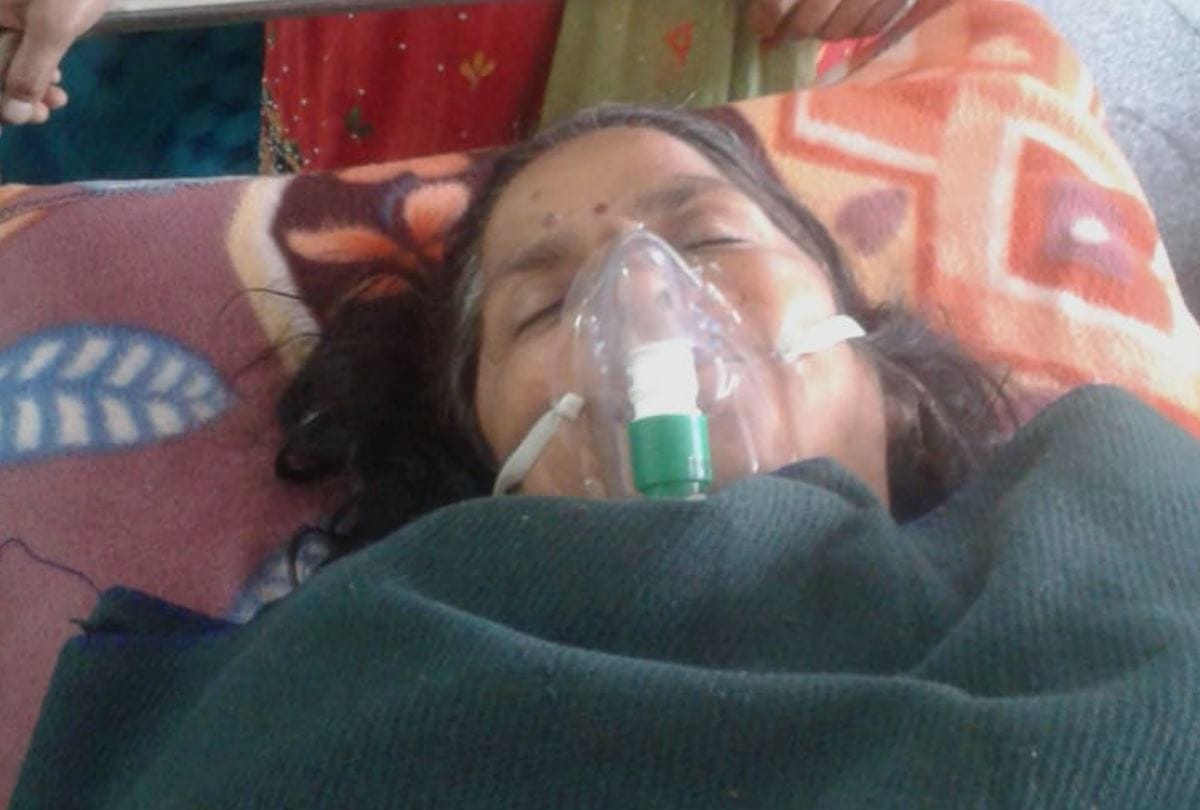 pig attack on woman seriously injured admitted in IGMC Shimla