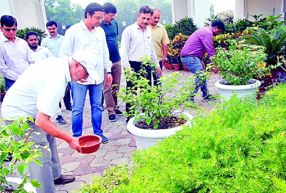 Dengue-free Delhi campaign has been supported by many celebrities on social media