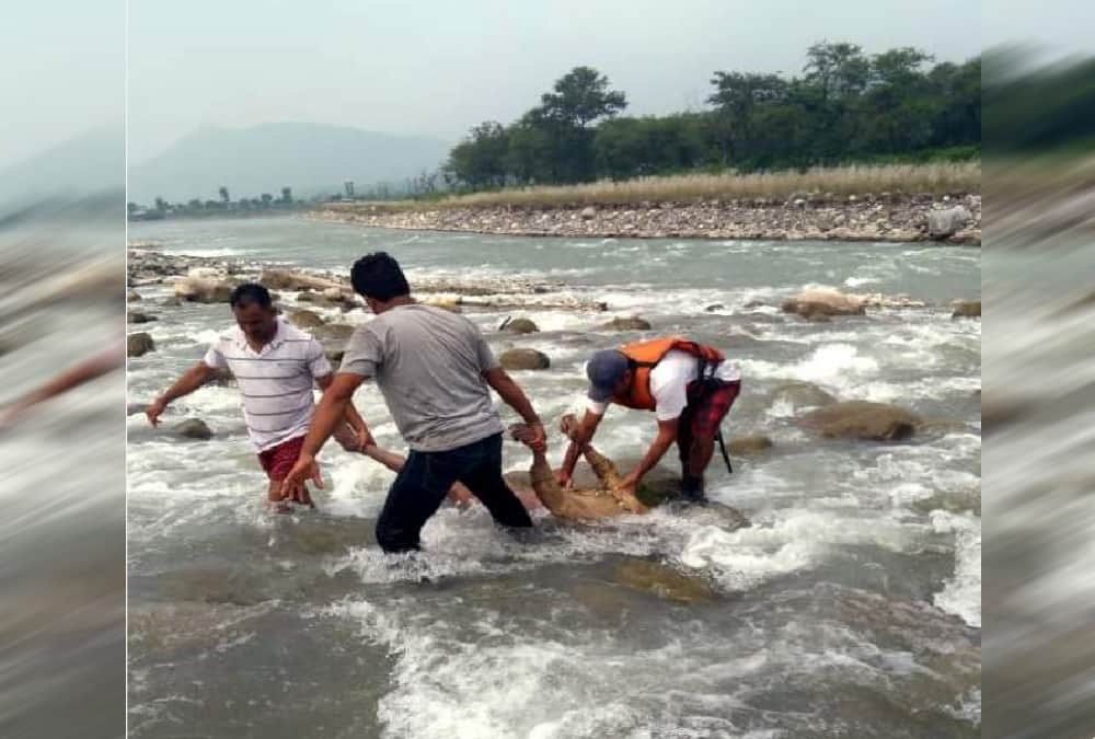 OverSpeed Utility fell in yamuna river Four Dead Bodies Recovered in vikasnagar dehradun