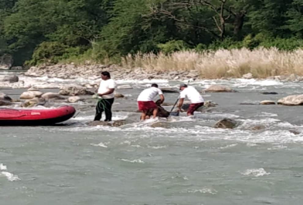 OverSpeed Utility fell in yamuna river Four Dead Bodies Recovered in vikasnagar dehradun