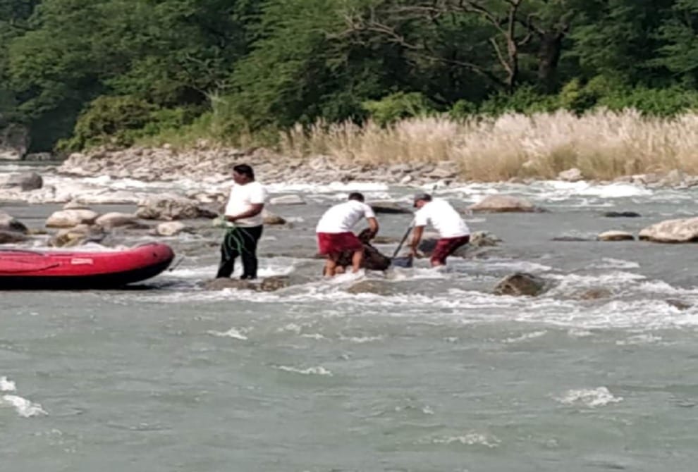 OverSpeed Utility fell in yamuna river Four Dead Bodies Recovered in vikasnagar dehradun