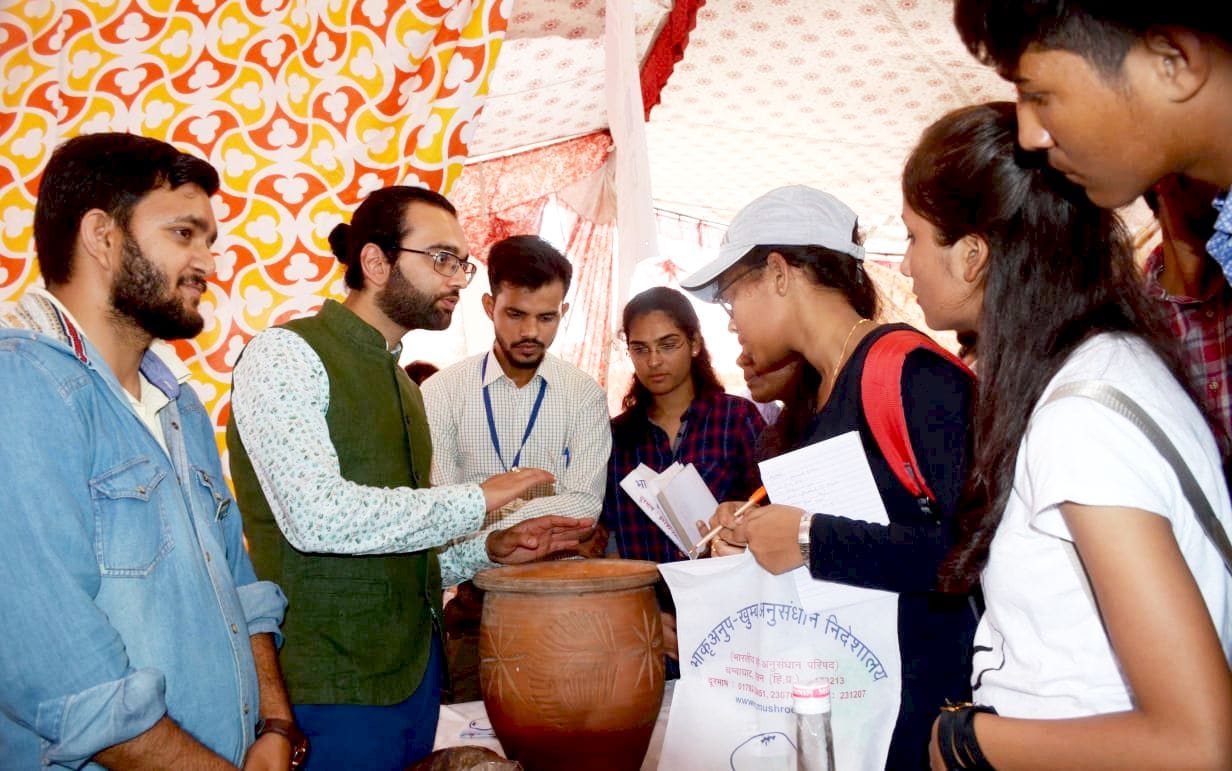solan mushroom fair