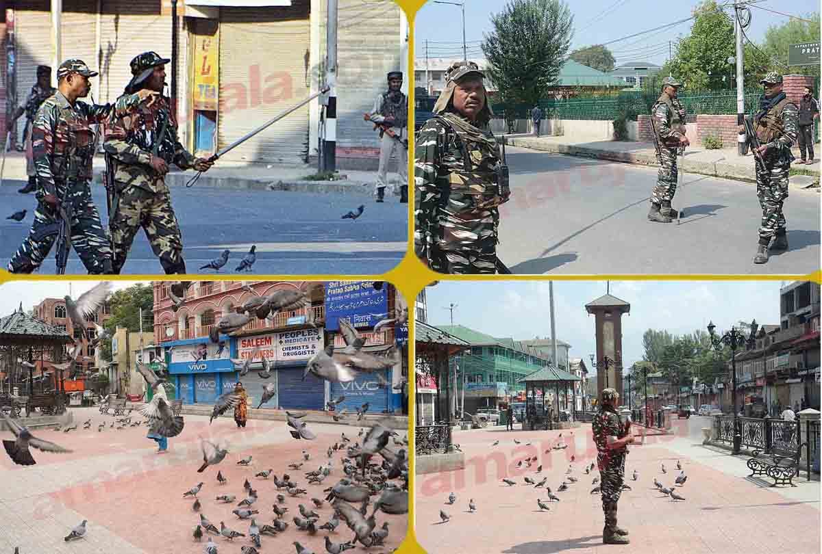 kashmir article 370 and 35a international terrorism china and pakistan