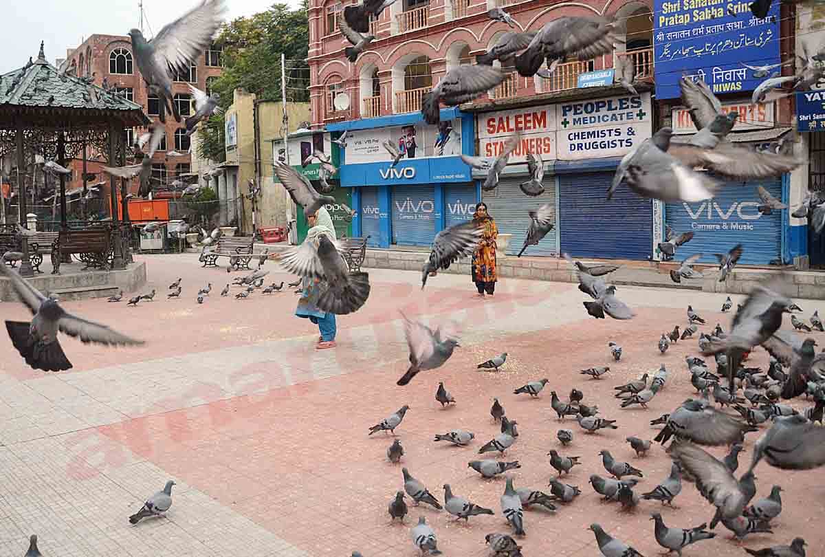 kashmir latest photos of restriction after article 370 revoked, latest visuals of kashmir