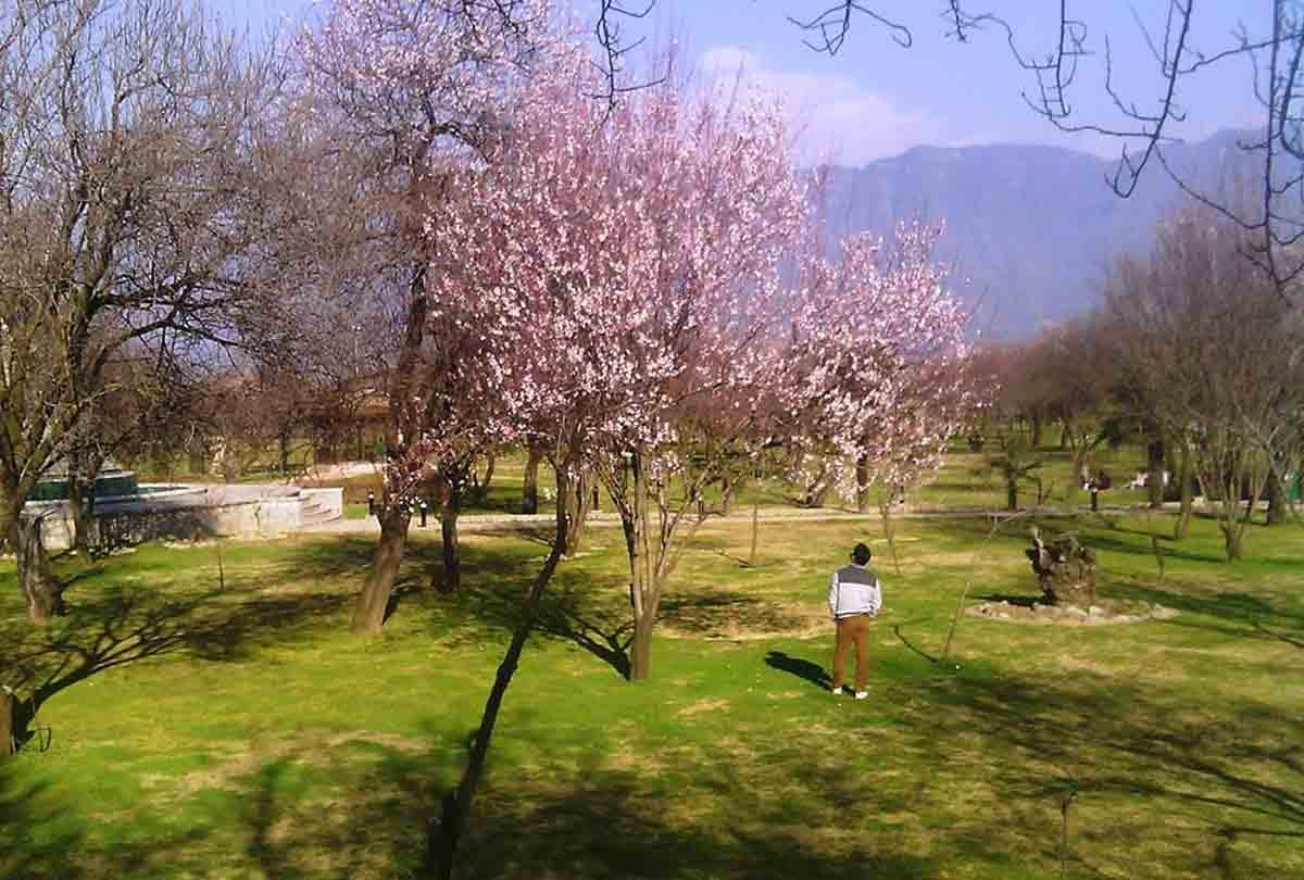 Weak monsoon affects Jammu and Kashmir, this can be a big problem in winter