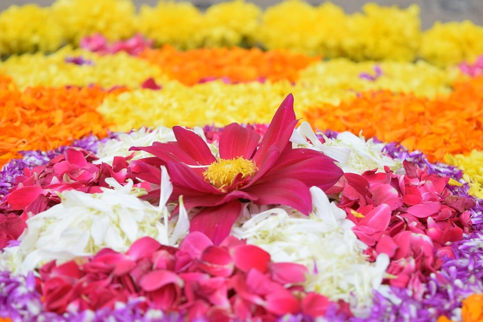 onam 2019 festival onam is devoted to raja mahabali know its tradition